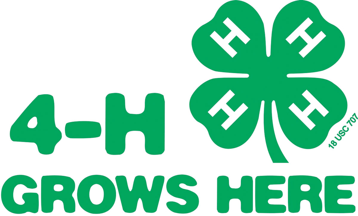 4-H-Grows-Here-1200-px