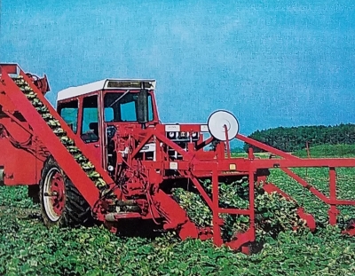 Photo of MSU designed once-over mechanical cucumber harvester