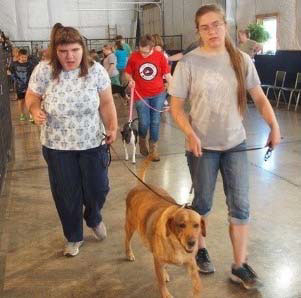 canine-therapy-dog-club
