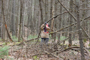 MSU faculty optimize remote field experiences for forestry students