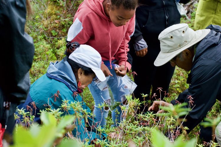 Alaska Native Haida community members look at plants.