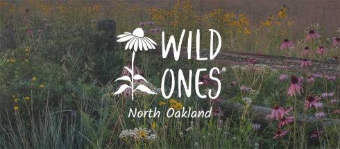 Wild Ones North Oakland Chapter logo