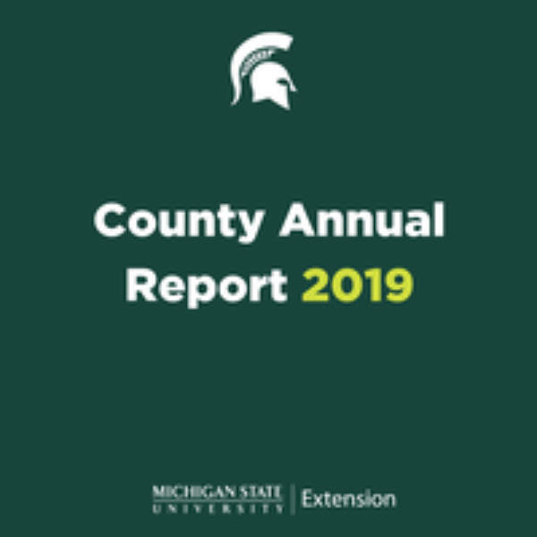 Picture of cover of Tuscola  County  2019Annual Report