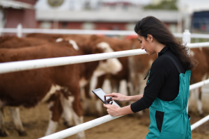 Beef Welfare Symposium fourth session to focus on technology in beef cattle welfare