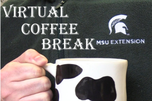 MSU Dairy Virtual Coffee Break: Calf development research and management strategies