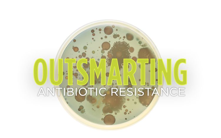 Outsmarting antibiotic resistance