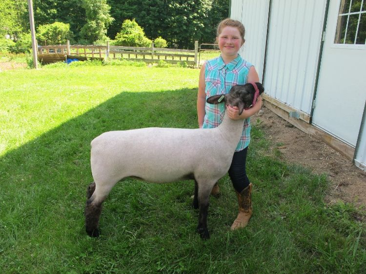 10-year old girl with sheep.