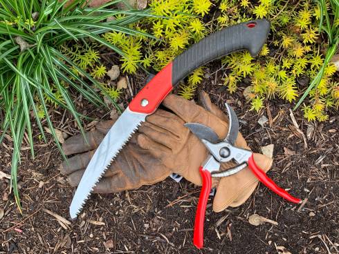 pruning tools and gloves