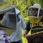 Adam Ingrao holding a beekeeping frame full of bees