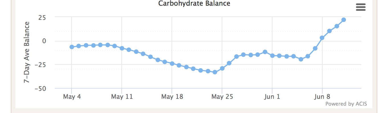 Graph of carbohydrate balance 
