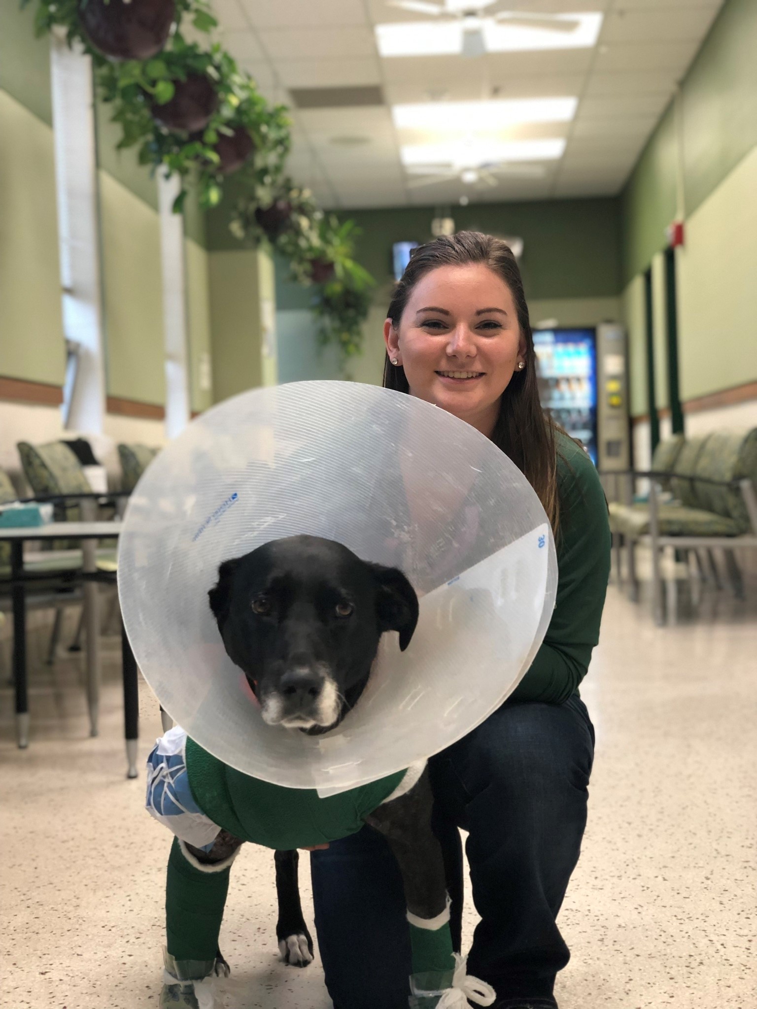 Bethany-Myers-vet-dog-in-cone