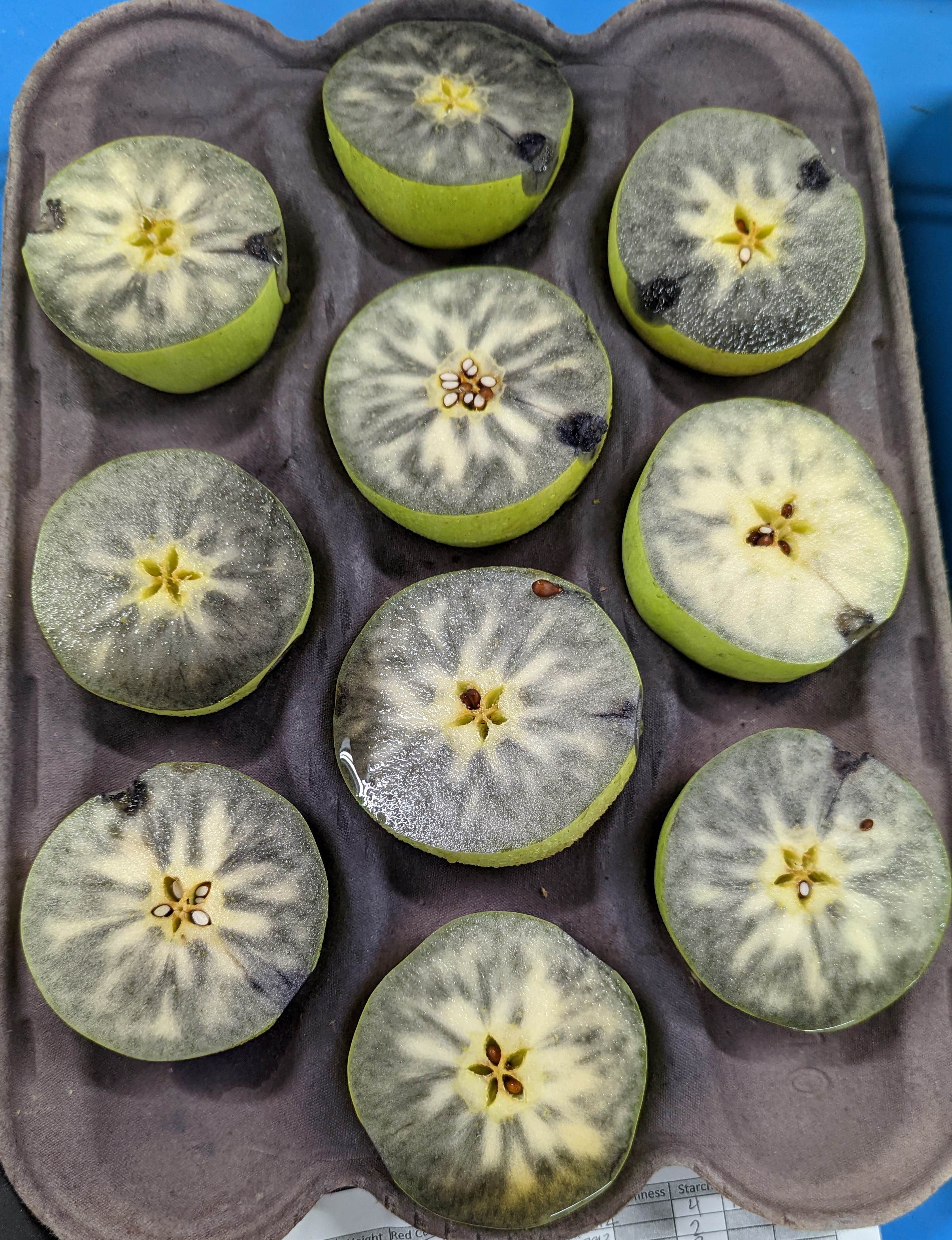 Apples cut in half soaked in iodine.