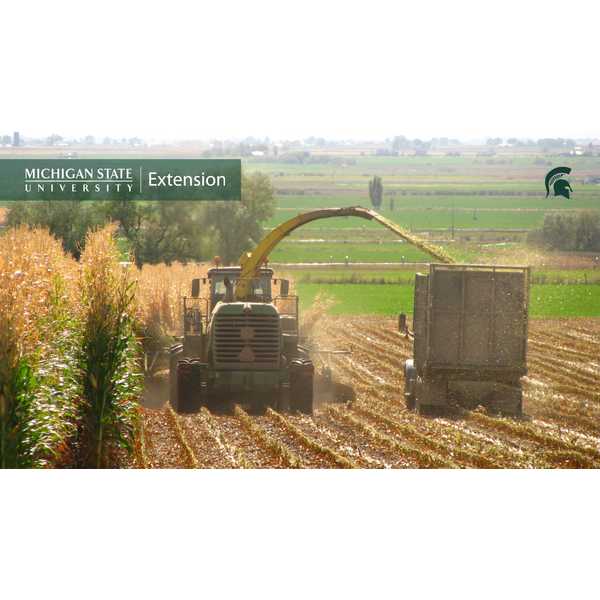 Plowing field in fall