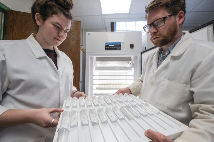 Graduate students in lab