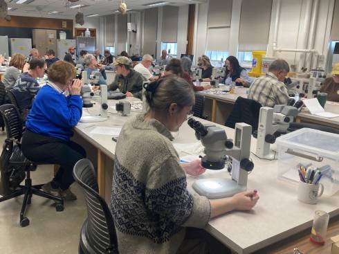 People using microscopes.