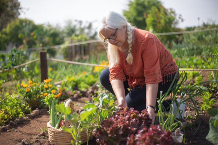 A woman kneeling down, tending to a garden.