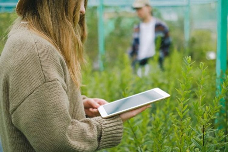 A woman holding a tablet in the middle of a field with a person in the background.