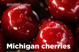 Bringing you the Michigan cherry on top