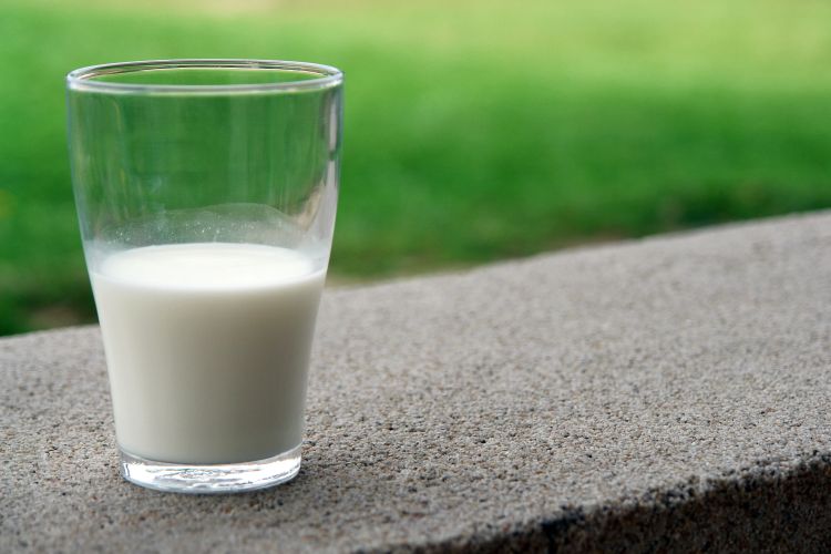 Milk in a glass.