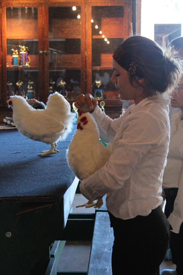 A young person showing a stuffed bird model.