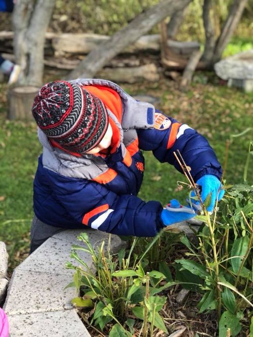 Kid in garden