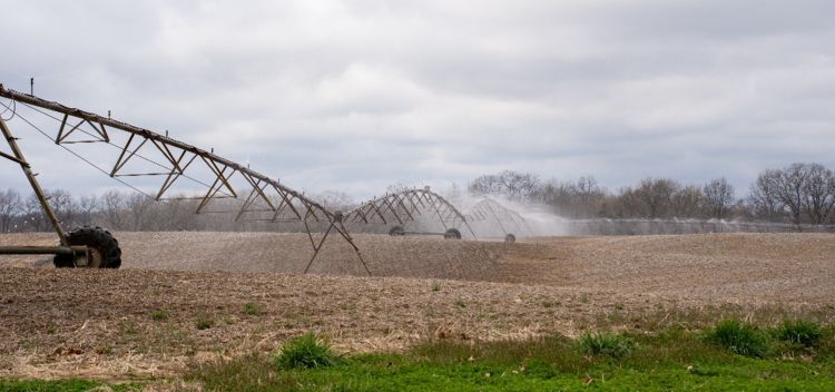 A center pivot irrigation system in the middle of an agricultural field spraying water.