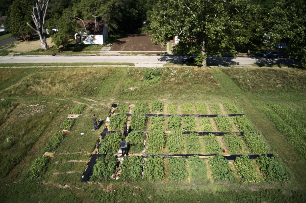 Drone view of urban soil research plots