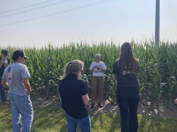 Four people stand at the end of a corn field. One person is speaking while the other three listen.