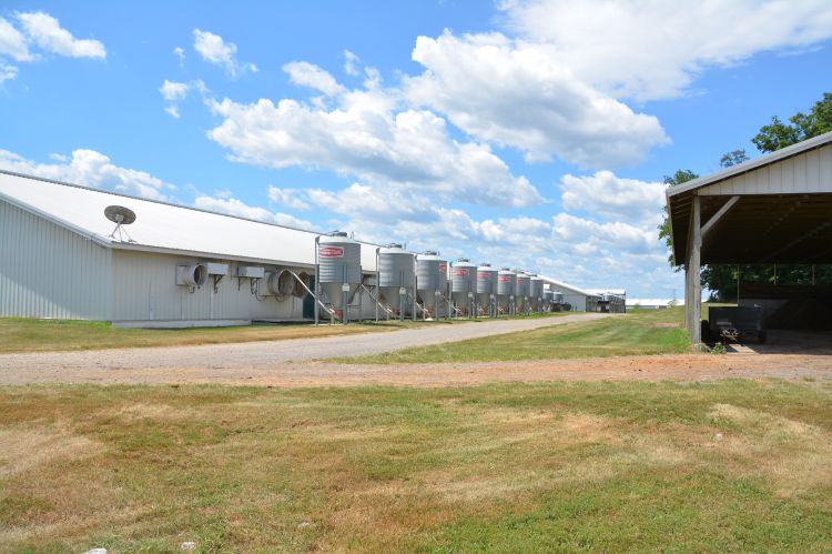 This photo is of the outside of a swine barn showing ventilation fans, each of these fans should be properly maintained for max efficiency for airflow in and out of swine barn.