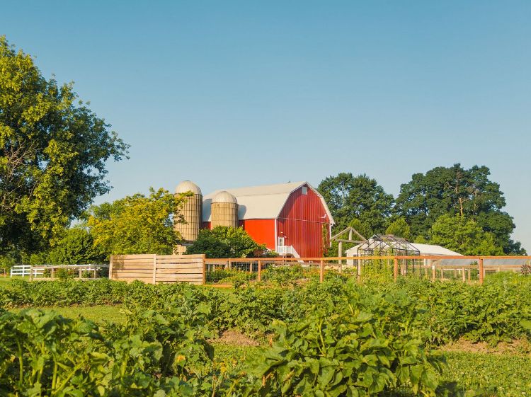 A photo of a red barn in Alto, Michigan.