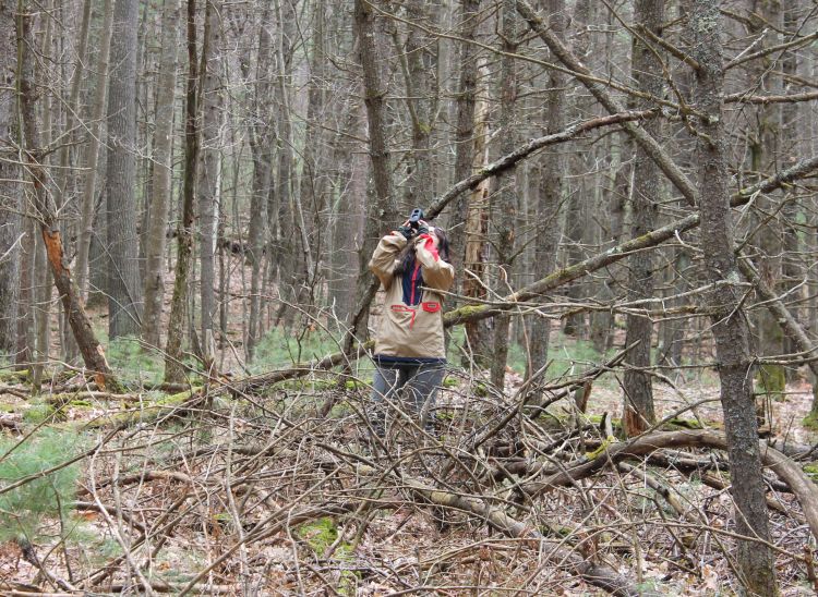 Female student in forest looking up.