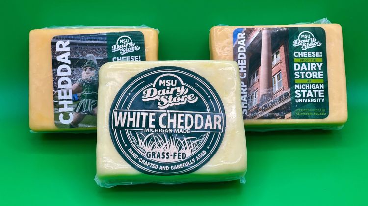 Michigan State University Dairy Store cheese boxes with blocks of cheddar, white cheddar and sharp cheddar cheeses.