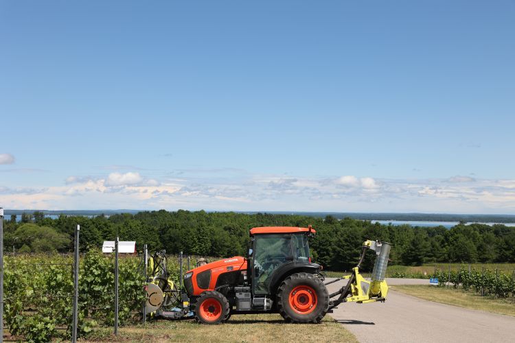 Mechanical leaf removal equipment in a vineyard.