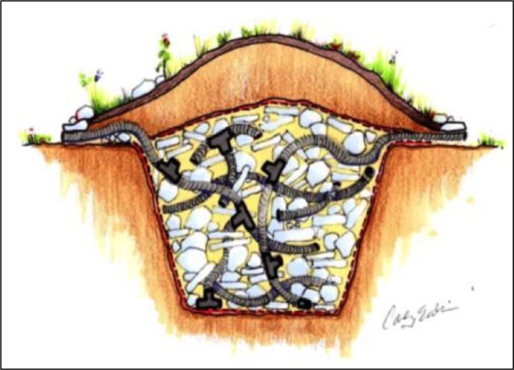 Snake hibernacula provide underground spaces for snakes to hibernate during winter months. Image: Michigan Amphibian and Reptile Best Management Practices manual, Herpetologist Resource and Management.