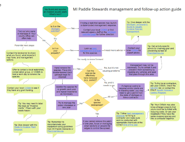 management action guidelines