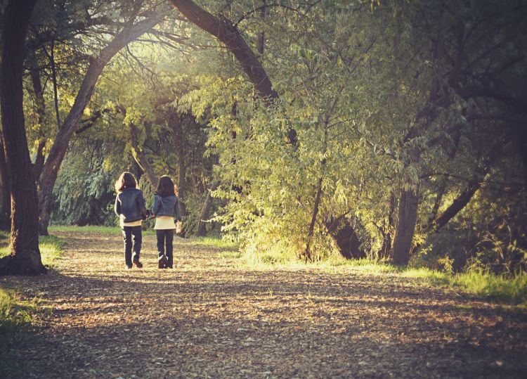 Practice and model mindfulness and appreciate the sights, smells and sounds around you.