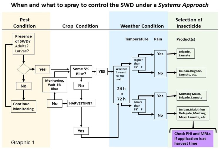 Flowchart graph