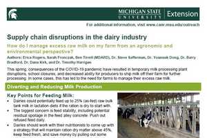 Supply chain disruptions in the dairy industry - Dairy