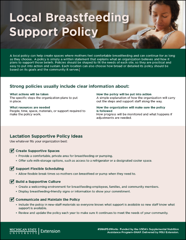 Local Breastfeeding Support Policy flyer