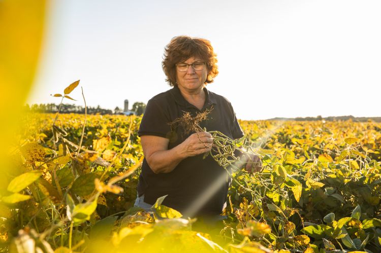 Farmer in soybean field