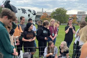 Cow in the Courtyard