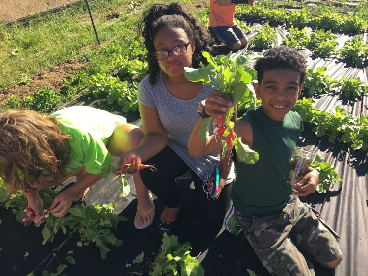 Youth holding up gardening projects.