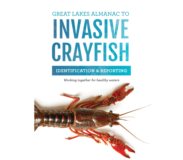 Cover of the Great Lakes Almanac to Invasive Crayfish featuring an image of a red swamp crayfish