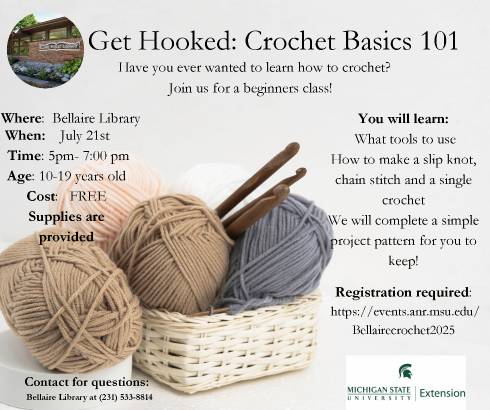 Get Hooked: Crochet Basics 101 flyer