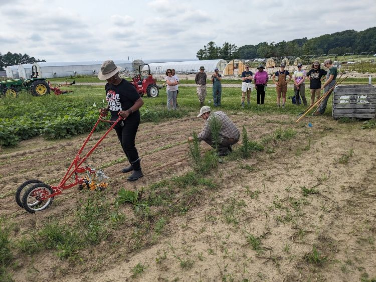 People standing and watching a farming demonstration