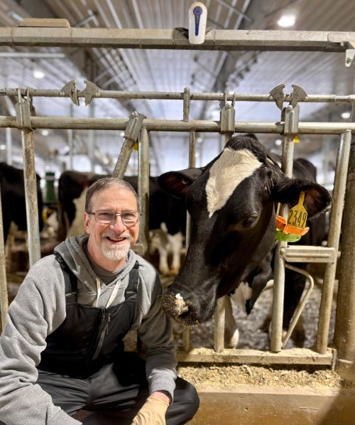 man squatting in front of black and white cows that are behind a fence
