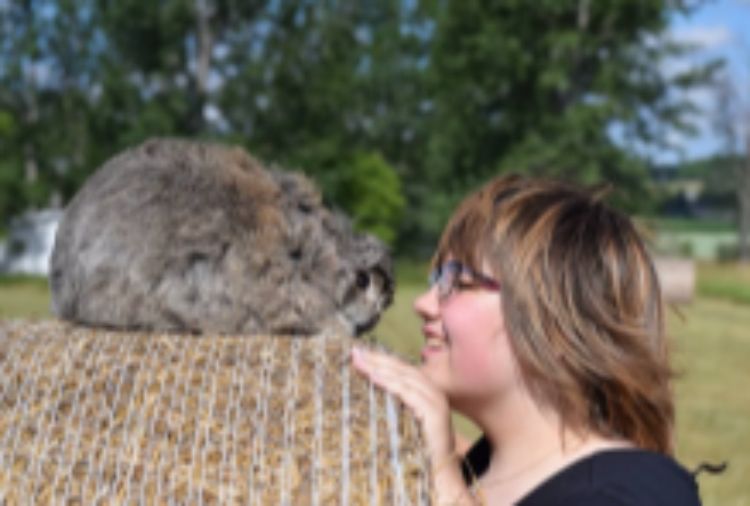 A girl and an animal