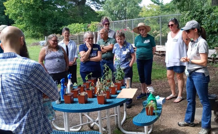 People learning about weeds.