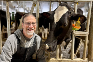A day at the Michigan State University Dairy Cattle Teaching and Research Center