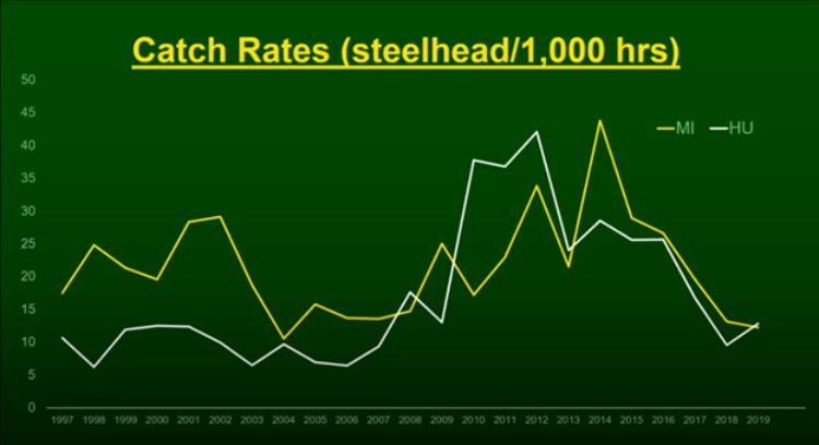 Catch rates for steelhead in Lake Michigan and Lake Huron are shown in a line graph indicating that both have been trending downward over the past several years.